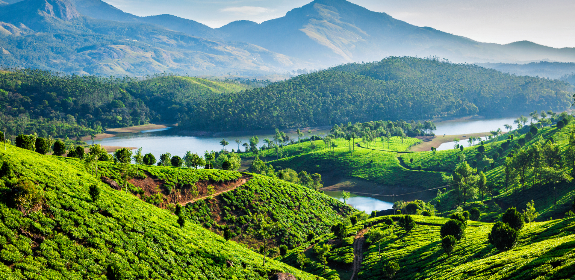 images/Munnar2.jpg